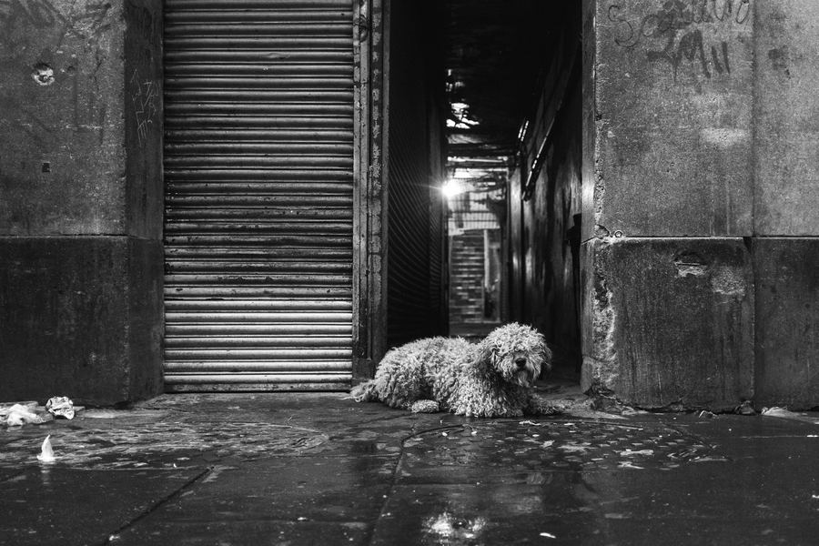 Callejón en blanco y negro en la ciudad colonial